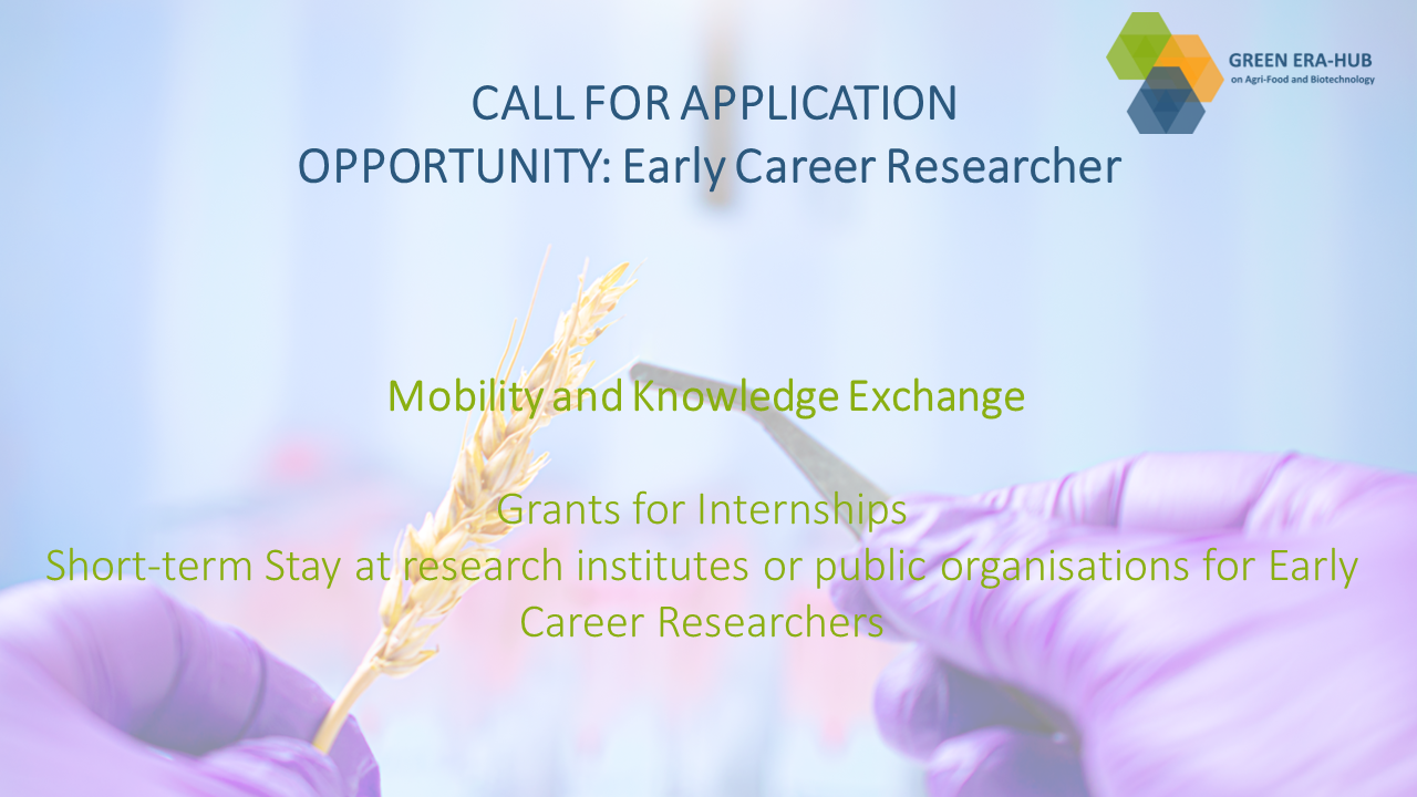 Early Career Researcher - application opportunity 