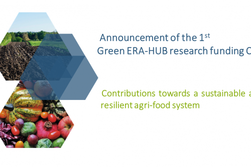 Announcement of the 1st Green ERA-HUB research funding Call