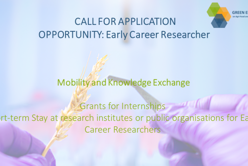 CALL FOR APPLICATION OPPORTUNITY: Early Career Researcher - call closed