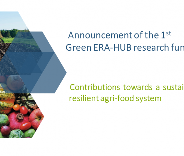 Announcement of the 1st Green ERA-HUB research funding Call