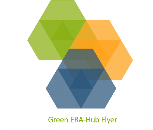 Green ERA-Hub Flyer